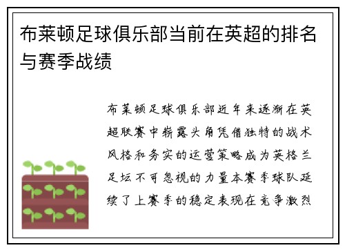 布莱顿足球俱乐部当前在英超的排名与赛季战绩